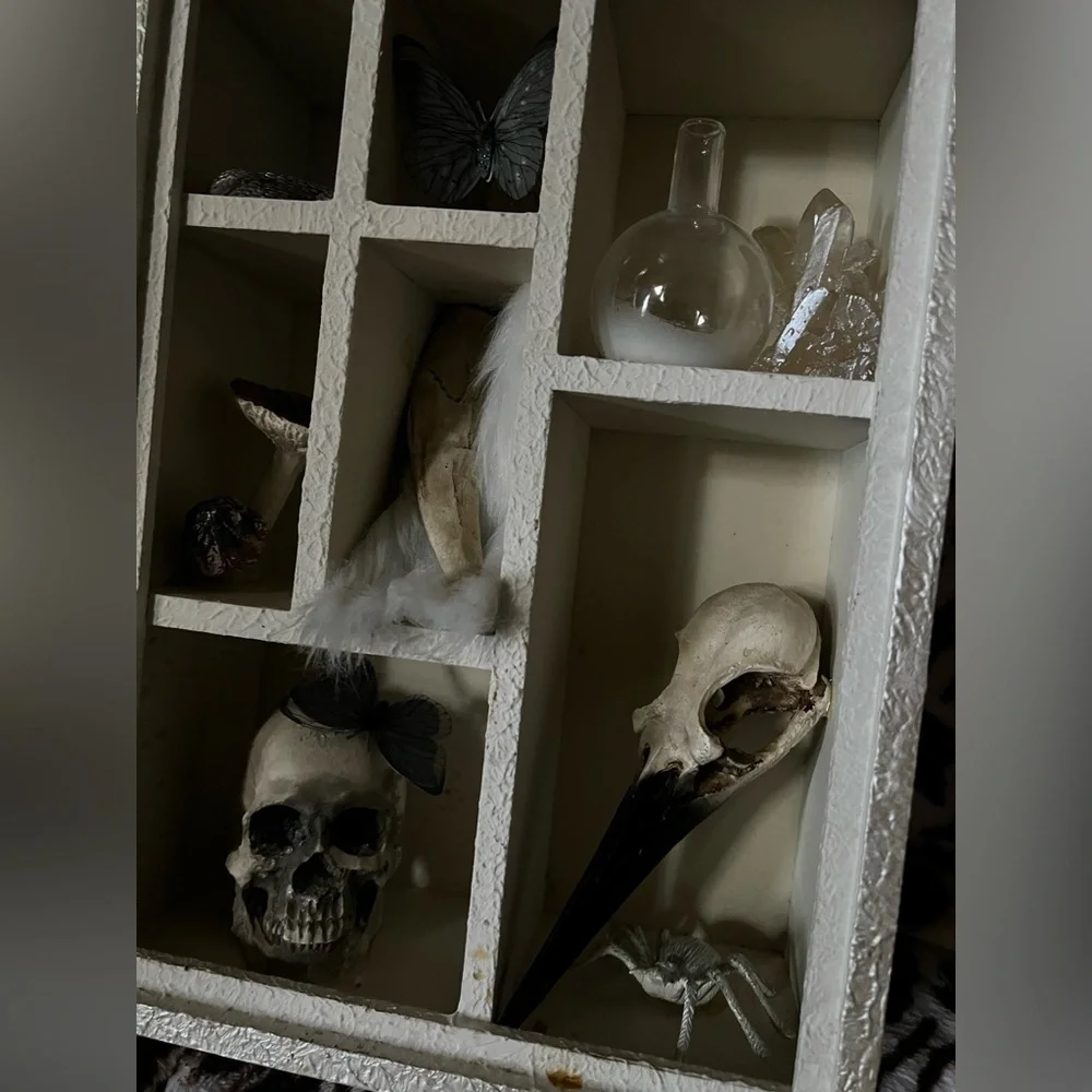 Elegant White Shadow Box with Skulls and Feathers